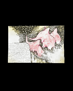 Elevantidega postkaart