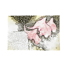 Elevantidega postkaart